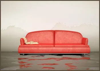 Royal Palm Beach Restoration Company Royal Palm Beach, FL 561-403-0150 Royal Palm Beach Restoration Company Royal Palm Beach, FL 561-403-0150 - city-page-flood