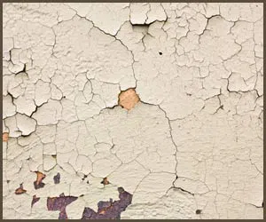 Royal Palm Beach Restoration Company Royal Palm Beach, FL 561-403-0150