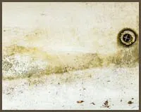 Royal Palm Beach Restoration Company Royal Palm Beach, FL 561-403-0150