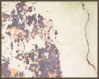 Royal Palm Beach Restoration Company Royal Palm Beach, FL 561-403-0150